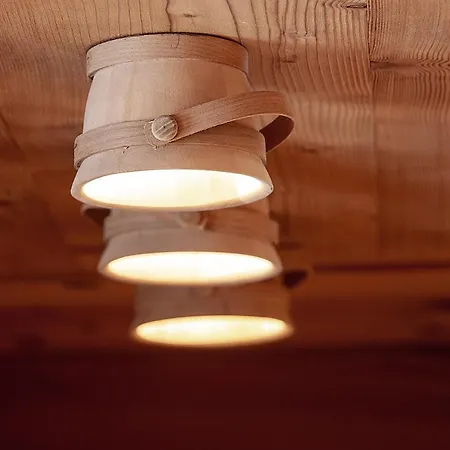 Διαμέρισμα Swiss Alps